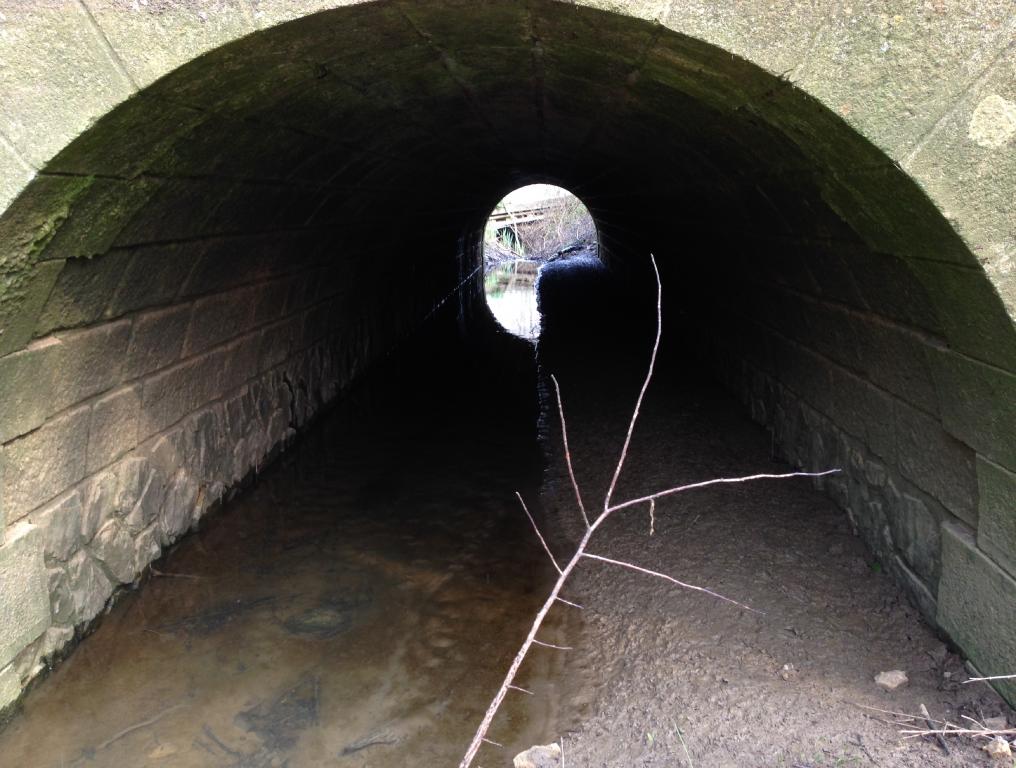 Avant Curage ligne SNCF Argentan Granville