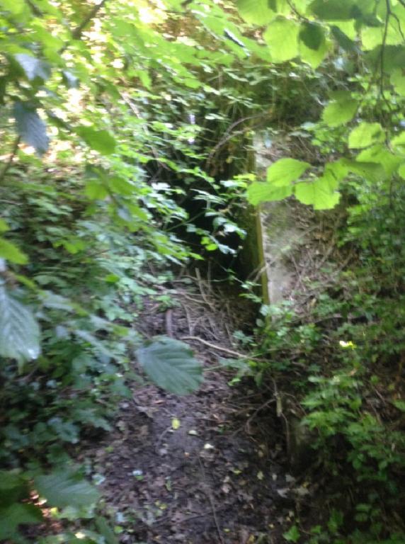 Avant Curage ligne SNCF Argentan Granville