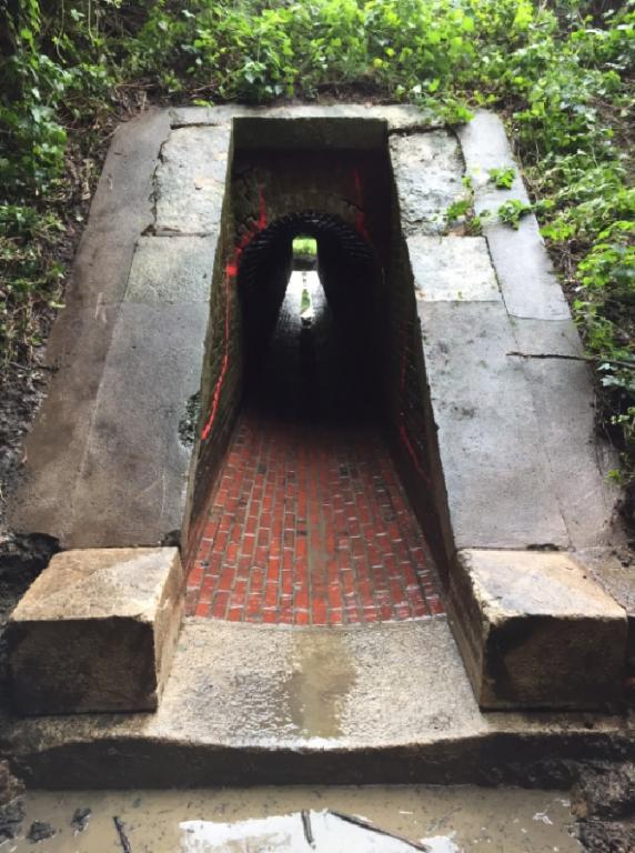 Aprs Curage ligne SNCF Argentan Granville